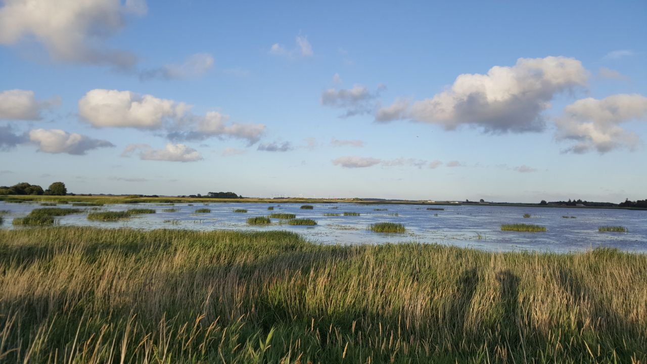 Blick über den Ruttebüller See