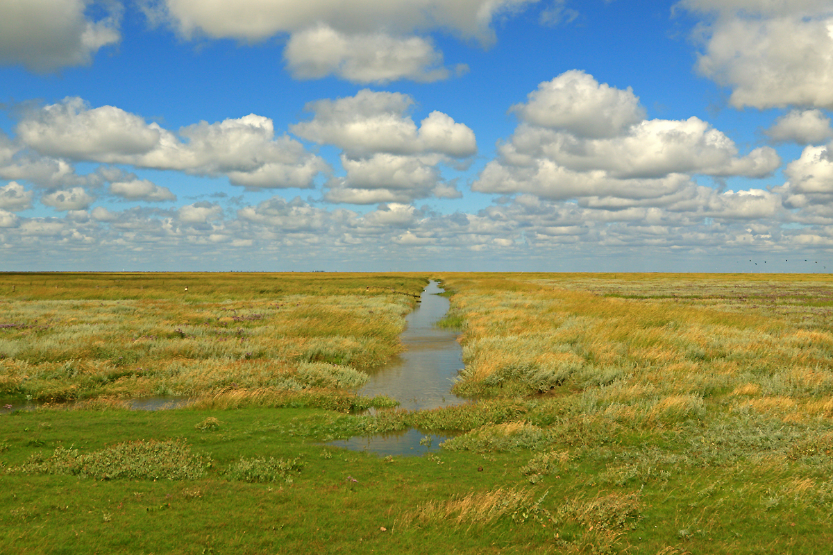 Westerheversand