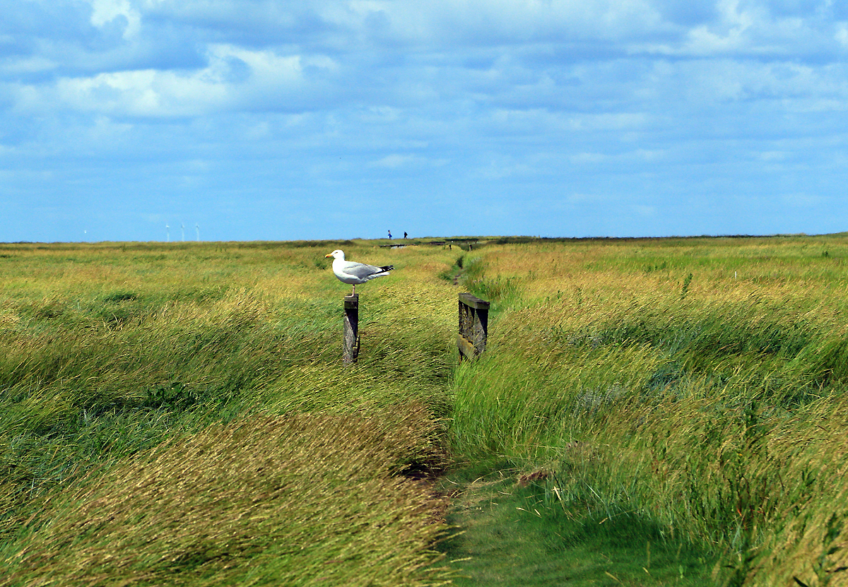 Auf dem Stockenstieg